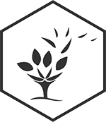 développement durable